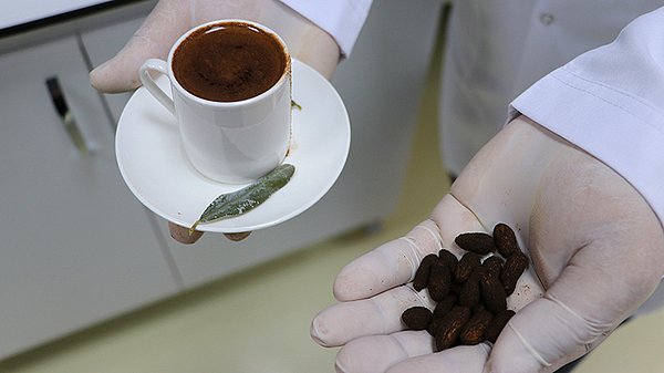 Prof. Dr. Şekeroğlu, bitkisel kahve ve bitkilerin geri dönüşümü üzerine yürüttüğü araştırma kapsamında günlük yaşamda çokça tüketilen zeytin üzerine çalışma başlattı.