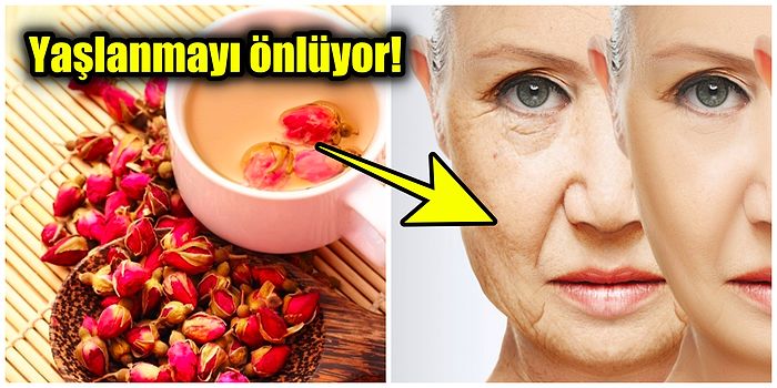 Günde Bir Bardak Gül Çayı İçmenin Faydaları Neler? Yaşlanma Karşıtı Gül Çayı Hakkında Bilinmesi Gerekenler