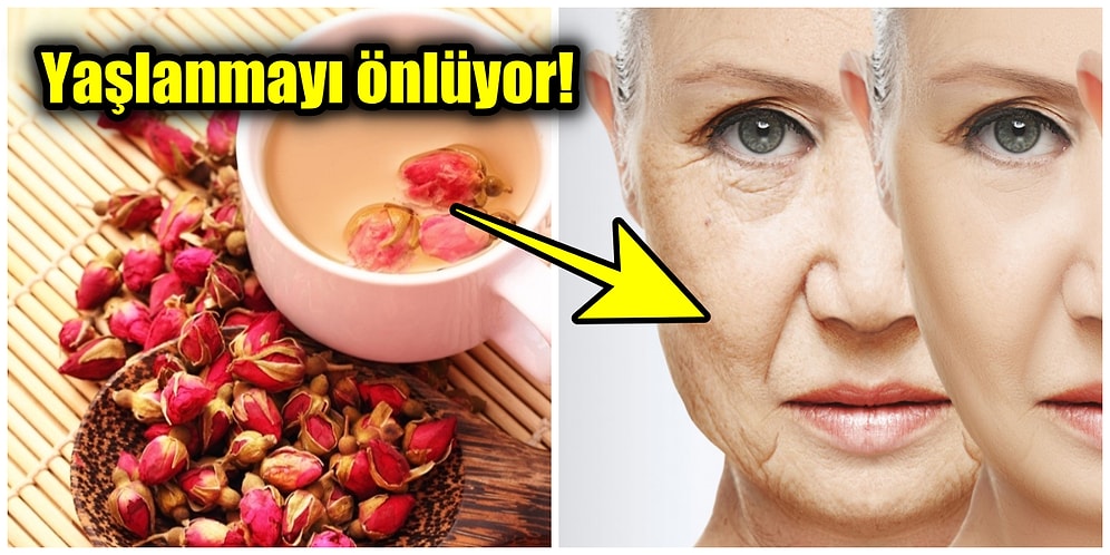 Günde Bir Bardak Gül Çayı İçmenin Faydaları Neler? Yaşlanma Karşıtı Gül Çayı Hakkında Bilinmesi Gerekenler