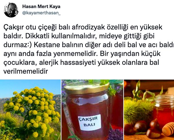 23. Çakşır balı: