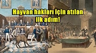 Hayvan Hakları Tarihinde Bir İlk: İngiltere'de Hakkını Aramak İçin Mahkemeye Çıkan Eşek