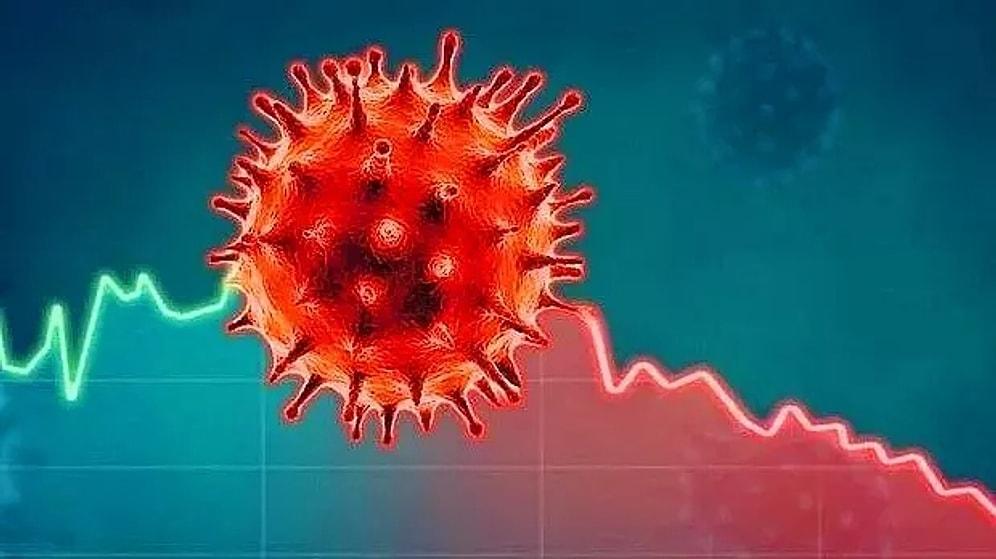 5 Mayıs 2022 Güncel Koronavirüs Tablosu Yayınlandı: Vaka Sayısı Düştü mü? Vaka Sayıları Binin Altına İndi mi?