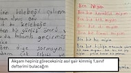 'Ben Bir İsmail miyim?' Şiirinden Sonra Babasıyla Bir Gün Geçiren Kelebeğe Üzülen Elif'in Şiiri Gündem Oldu