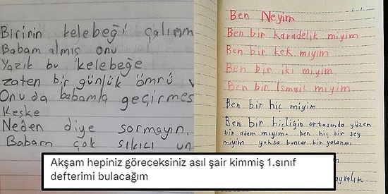 'Ben Bir İsmail miyim?' Şiirinden Sonra Babasıyla Bir Gün Geçiren Kelebeğe Üzülen Elif'in Şiiri Gündem Oldu