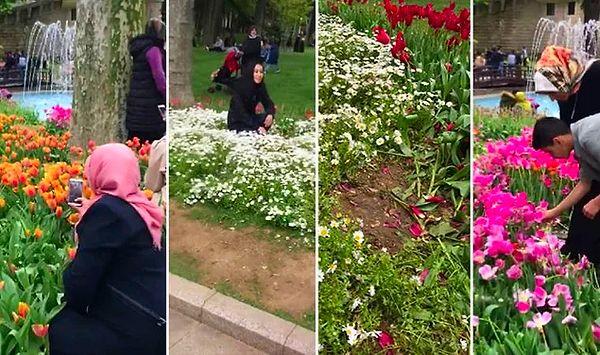 16. Kendisini “Kırmızı Hanımefendi” olarak tanıtan İran uyruklu bir sosyal medya fenomeninin Gülhane Parkı’nda çektiği fotoğraflar viral oldu.