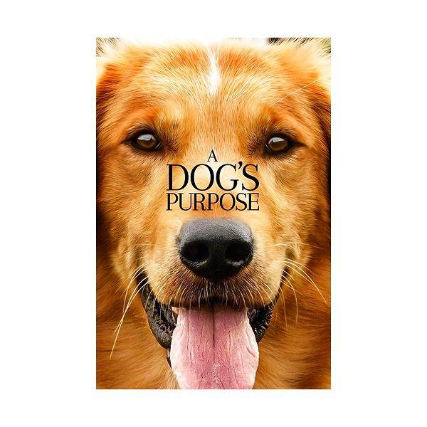 6. A Dogs Purpose / Can Dostum (2017) IMDb: 7.2