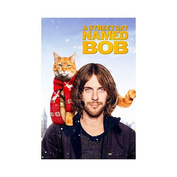 5. A Street Cat Named Bob / Sokak Kedisi Bob (2016) - IMDb: 7.3