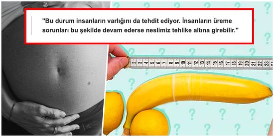 Çevre Kirliliği ve Zararlı Kimyasallar Penis Boylarının Kısalmasına ve Doğurganlığın Azalmasına Sebep Oluyor!