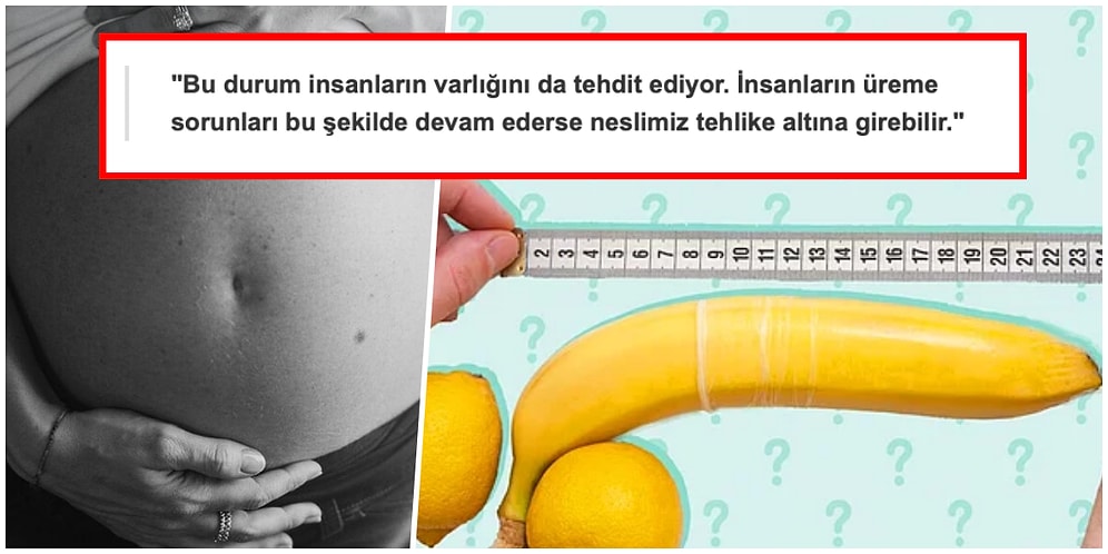 Çevre Kirliliği ve Zararlı Kimyasallar Penis Boylarının Kısalmasına ve Doğurganlığın Azalmasına Sebep Oluyor!