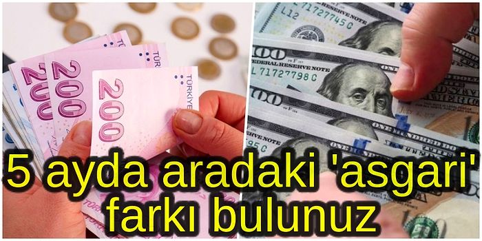 Sadece 5 Ay Geçti: Varank, 400 Dolar İçin Teşekkür Etmişti! Asgari Ücret Ne Kadar Oldu?