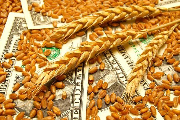 Tarım fiyatlarında Rusya-Ukrayna savaşı ile başlayan yukarı yönlü ivme Hindistan'ın buğday ihracatına yasaklama kararıyla daha da hızlandı.