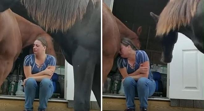 Üzgün Olduğunu Fark Ettiği İnsan Dostuna Şefkatle Sarılan At ve Ortaya Çıkan Duygu Dolu Anlar