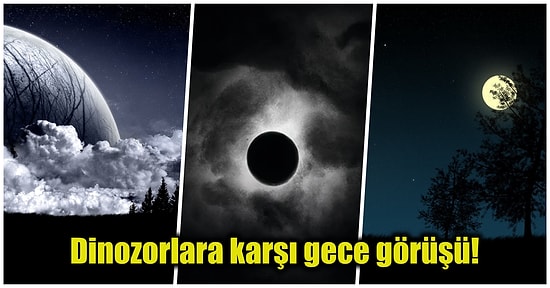 Dünya'nın Doğal Uydusu Olan Ay Aniden Kararsa Gezegenimize Ne Olurdu?