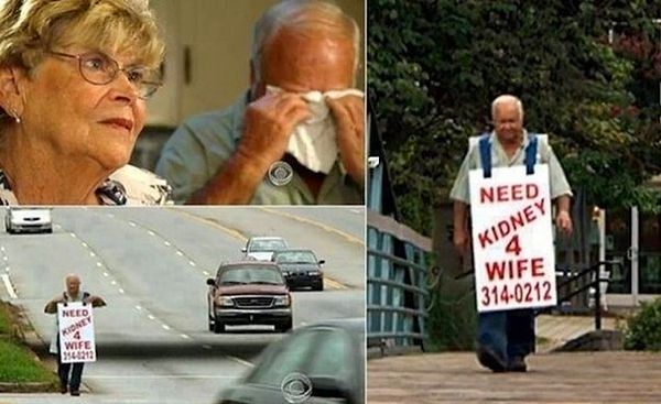 7. 2013 yılında tek böbreği olan eşi için sokak sokak böbrek arayan 77 yaşındaki bir adam: