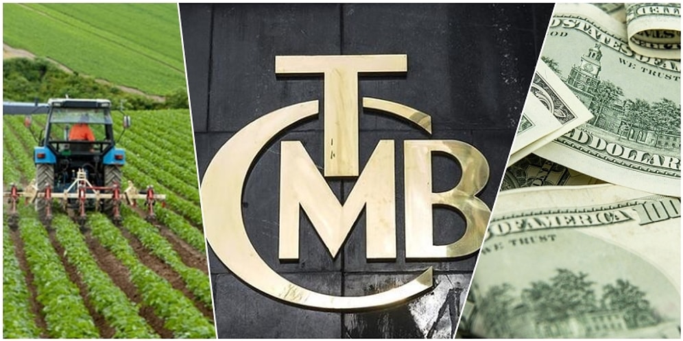 Ekonomik Veriler Umut Veriyor mu? Enflasyon ve Dolarda Yükseliş Beklenirken, Tarımda Maliyetler İkiye Katladı