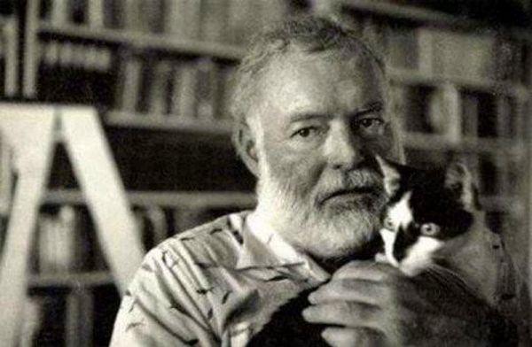 2. Hemingway ve polidaktil kedileri
