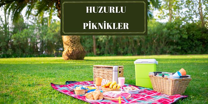 Hafta Sonu Kaçamağı Yaparken Kullanabileceğiniz İşlevsel Piknik Sepetleri