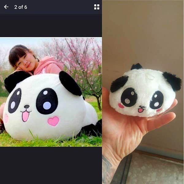 21. Bu baba internetten bir panda yastığı almış ama gelen şey biraz hayal kırıklığı yaratmış olabilir.