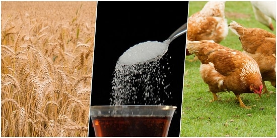 Kısıtlamalar Sürerken, Dünyada Gıda Güvenliği Meselesi Büyüyor: Buğdaydan Sonra Sıra Şekerde!