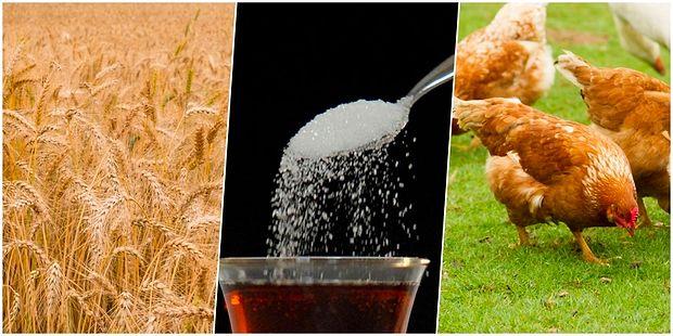 Kısıtlamalar Sürerken, Dünyada Gıda Güvenliği Meselesi Büyüyor: Buğdaydan Sonra Sıra Şekerde!