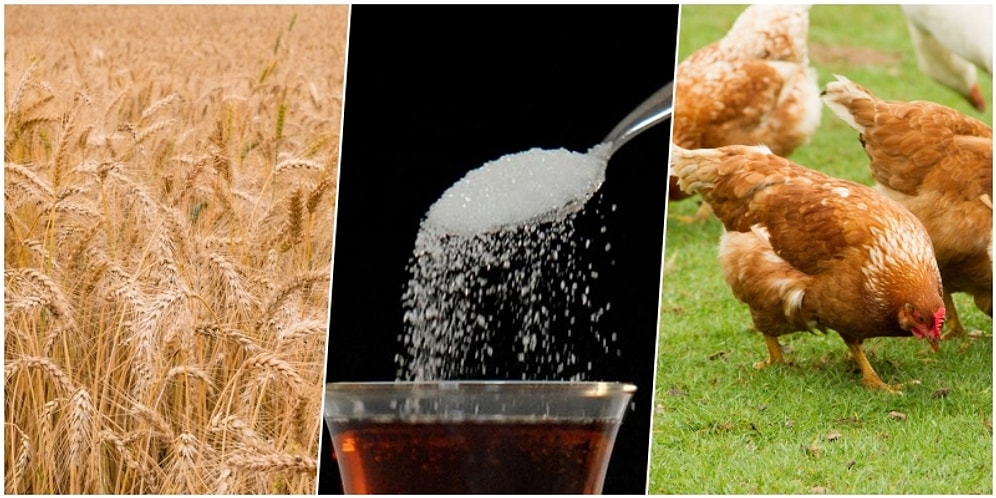 Kısıtlamalar Sürerken, Dünyada Gıda Güvenliği Meselesi Büyüyor: Buğdaydan Sonra Sıra Şekerde!