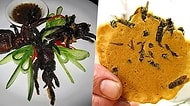 Böyle Kültür Olmaz Olsun: Tarantula Kızartması'ndan Kaplan Penisi Çorbası'na Dünyanın En İğrenç Yemekleri