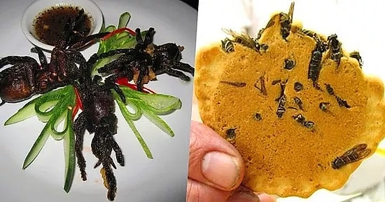 Böyle Kültür Olmaz Olsun: Tarantula Kızartması'ndan Kaplan Penisi Çorbası'na Dünyanın En İğrenç Yemekleri