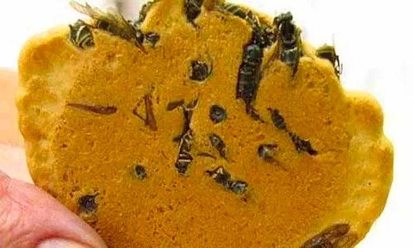 3. Eşek arısı kurabiyesi.
