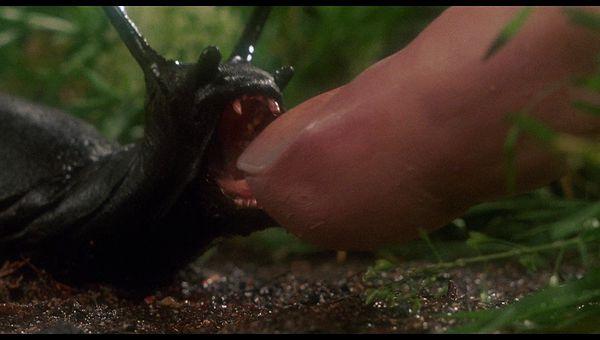 20. Slugs (1988)