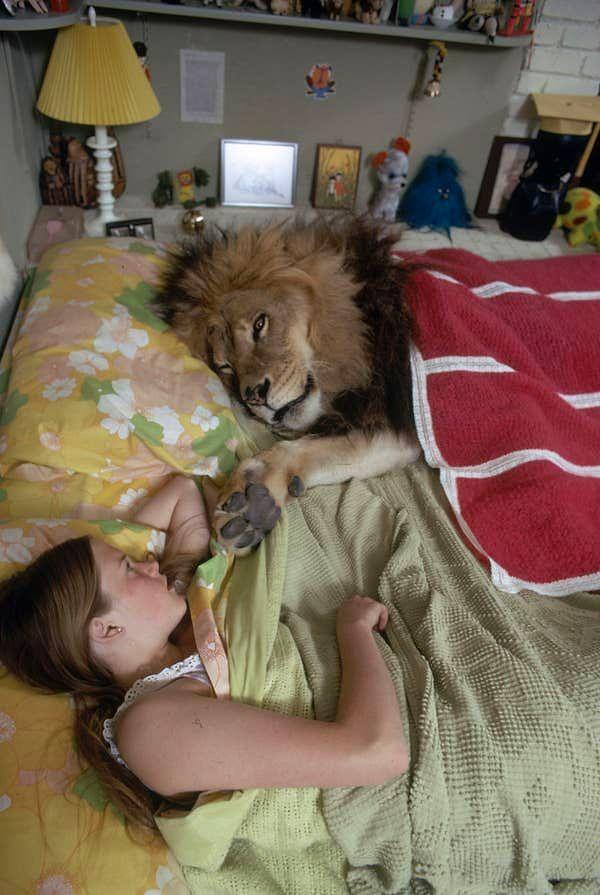 16. Melanie Griffith, evcil aslanlarla büyüdü.