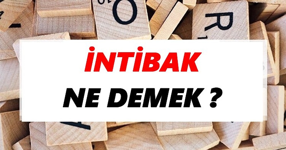 İntibak Ne Demek? İntibak TDK Anlamı Ne?