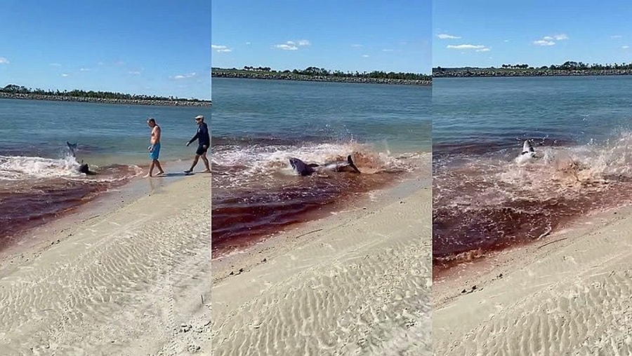 https onedio com secure sitemap 06 2022 xml gz 