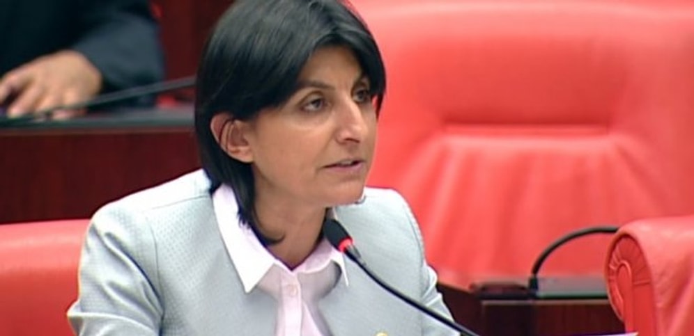 Sibel Özdemir Kimdir, Kaç Yaşındadır? Sibel Özdemir Ne Mezunu?