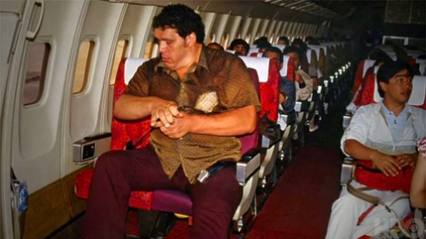 45. 1980'de André The Giant Japonya'ya giden bir uçaktayken.