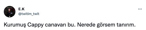 6. Uzun zamandır neden ortalıklarda olmadığını şimdi anladık. Başımız sağ olsun...