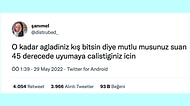 Her Ne Yapıyorsanız Bırakıp Okumanız Gereken Haftanın En Komik 26 Tweeti