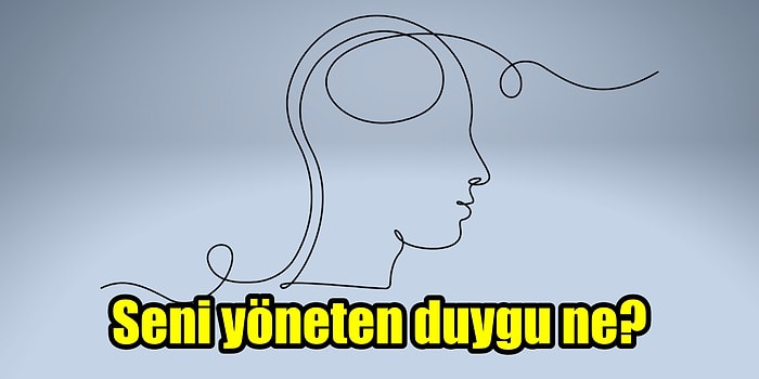 Kişilik Tespiti Testine Göre Seni Hangi Duygu Yönetiyor?