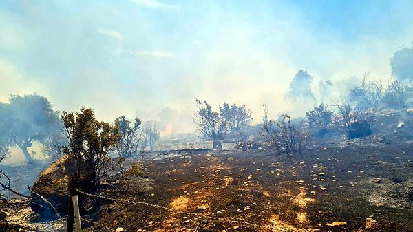 Bodrum'un Bitez Mahallesi Beylikkırlar mevkisinde, saat 13.00 sıralarında, tarım arazilerinin bulunduğu orman ve otluk alanda yangın çıktı.