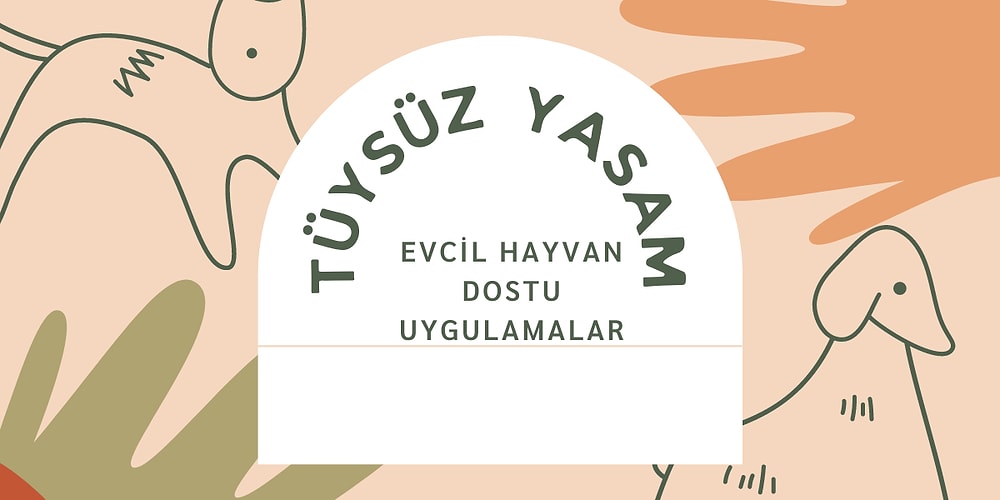 Parmak Şıklatma Süresinde Tüylerden Kurtulabileceğiniz En İyi Tüy Toplayıcılar