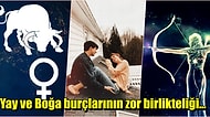 Boğa Burcunun Karşılıksız Aşkı Yay Burcu İle Uyumu Nasıldır?