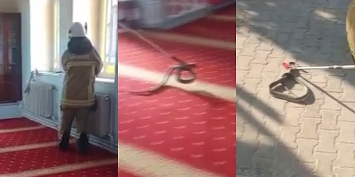 Bursa'da Bir Caminin Kaloriferine Giren 2 Metrelik Yılan Cemaatte Panik Yarattı, İtfaiye Ekipleri Yakaladı