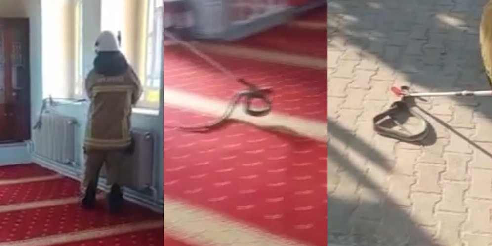 Bursa'da Bir Caminin Kaloriferine Giren 2 Metrelik Yılan Cemaatte Panik Yarattı, İtfaiye Ekipleri Yakaladı