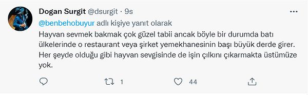 Her yerde olduğu gibi kendimizi yine Batı ile kıyaslıyoruz ve Batılılar kediye izin vermez biz de cılkını çıkartmayalım demekten çekinmiyoruz.