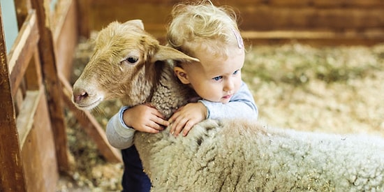 Merhamet Sözleri: Merhamet ve Vicdan Hakkında Söylenmiş En Anlamlı, Güzel ve Duygusal Sözler 2022