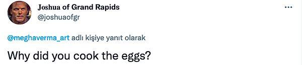 3. "Yumurtaları neden pişirdin?" 😂