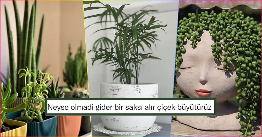BİM'e Gelse de Alsak Diye Beklediğiniz Balkondan Bahçeye Her Yerde Kullanılabilecek 18 Saksı