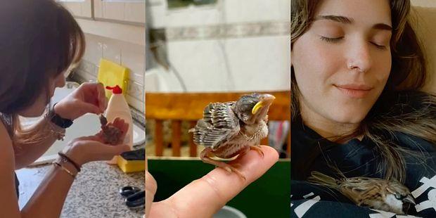 İyi İnsanlar İyi ki Var: Ölmek Üzere Olan Küçük Kuşu Hayata Döndüren Kadının 1 Yıllık Serüveni Viral Oldu