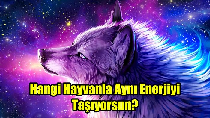 Senin Enerjin Hangi Hayvanın Enerjisini Yansıtıyor?