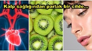 Her Gün Bir Adet Kivi Yerseniz Vücudunuzda Ne Gibi Değişimler Yaşanır?