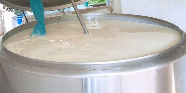 “Artan girdi maliyetleri süt üreticilerini zorluyor”